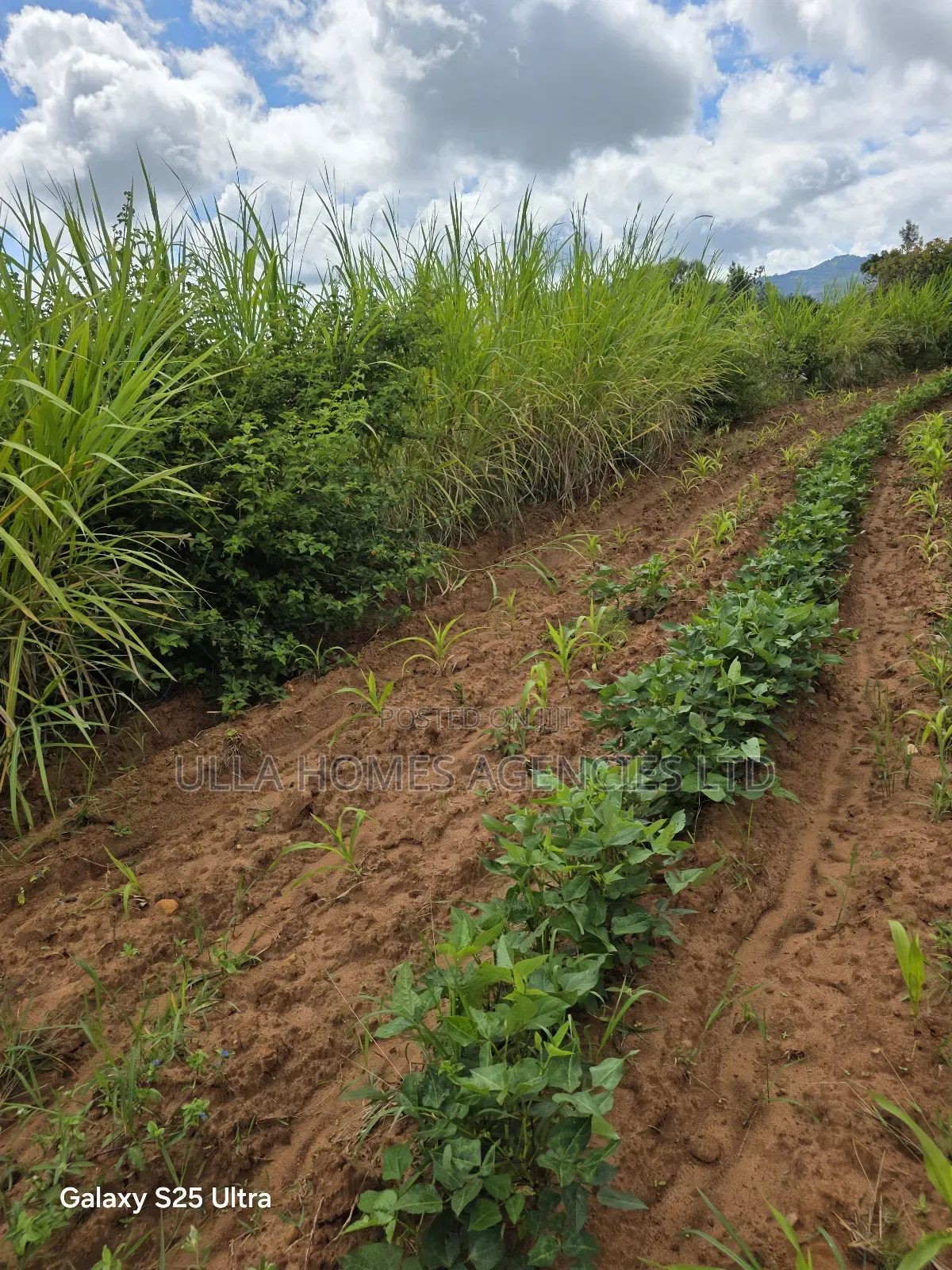 10 Acres at Konza,Aimi Ma Kilungu,Touching Mombasa Road