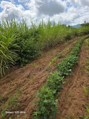10 Acres at Konza,Aimi Ma Kilungu,Touching Mombasa Road