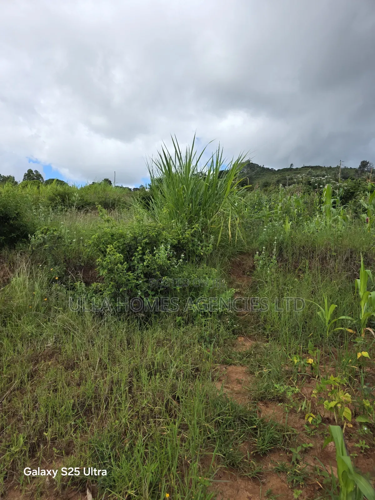 5 Acres Behind Gateway Mall