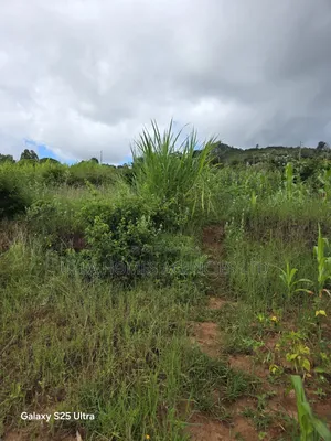 5 Acres Behind Gateway Mall