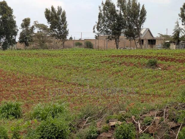 Akim Gardens Phase 1 - thumbnail 4