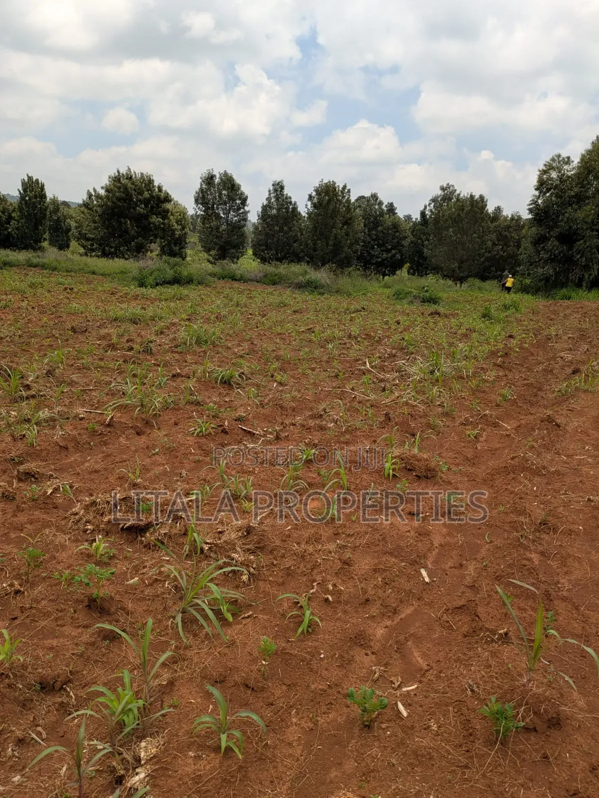 Akim Gardens Phase 1