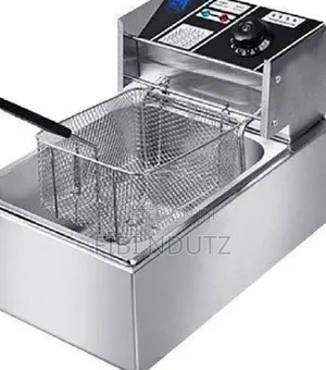 Affordable Chips Fryer/Electric Chips Fryer