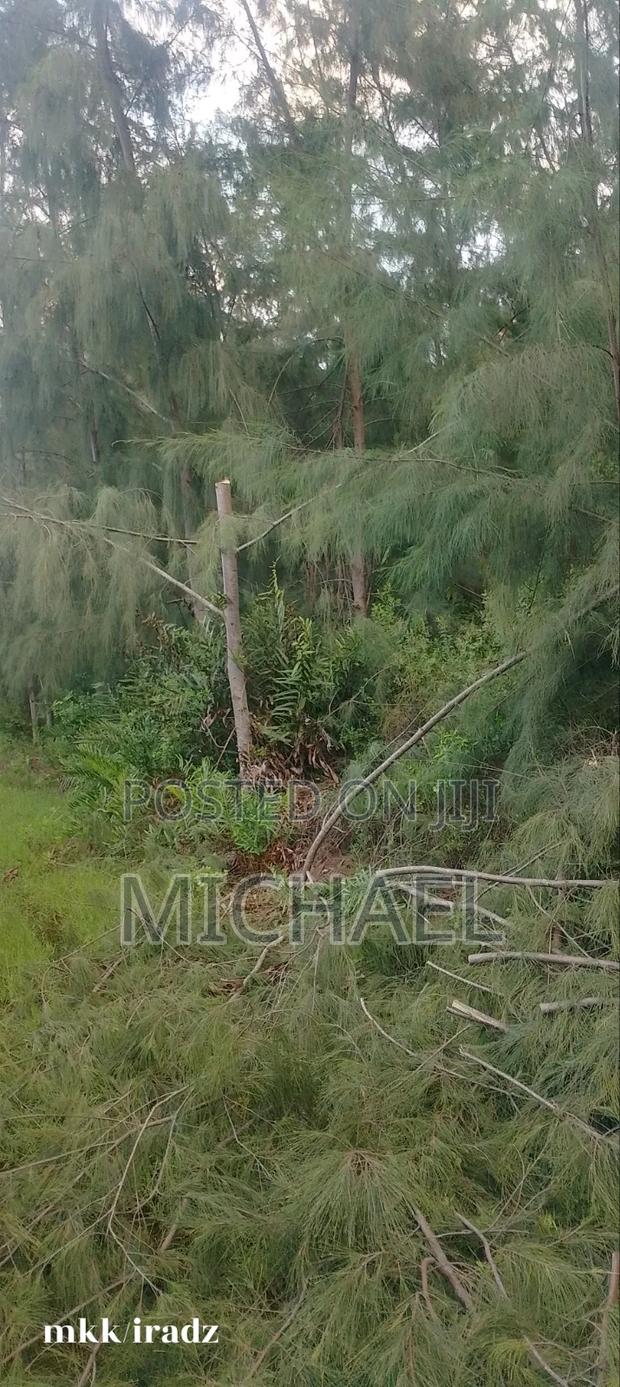Land for Sale - thumbnail 3