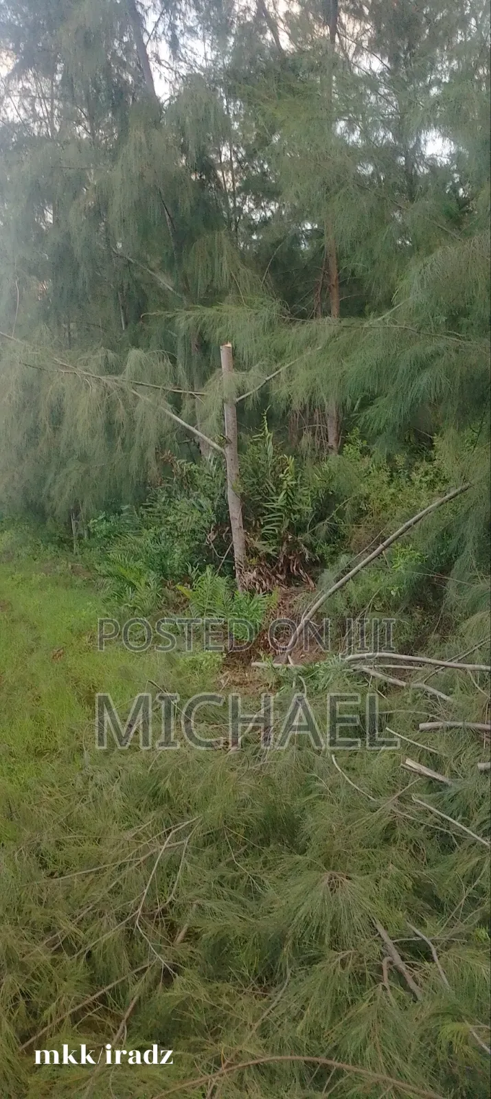 Land for Sale