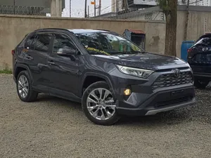 Toyota RAV4 XLE AWD 2019