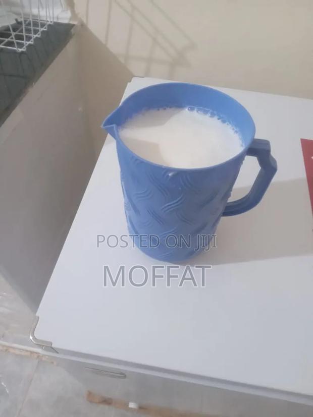 Supply for Fresh Goats Milk