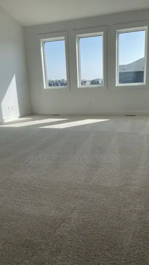 Delta Wall to Wall Carpet With Premium Soft Finish