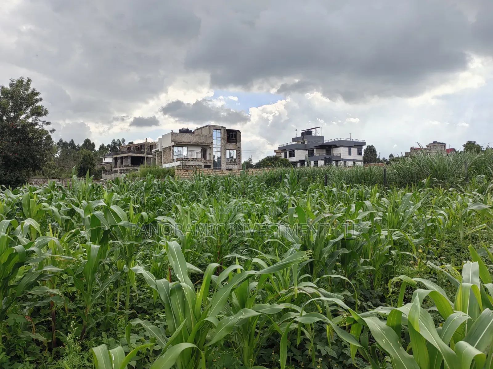 85 By100 Plot for Sale in Losegetti Kikuyu