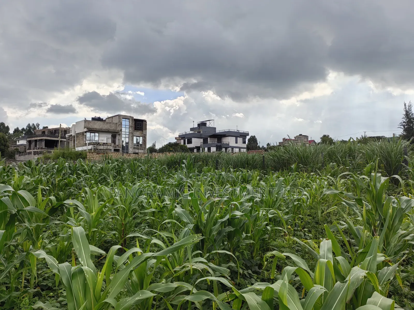 85 By100 Plot for Sale in Losegetti Kikuyu