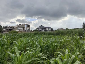 85 By100 Plot for Sale in Losegetti Kikuyu