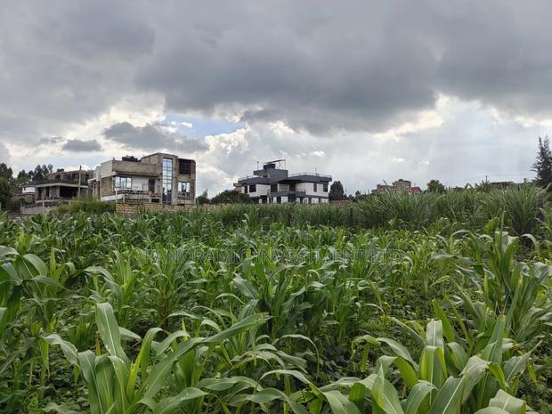 85 By100 Plot for Sale in Losegetti Kikuyu - thumbnail 2