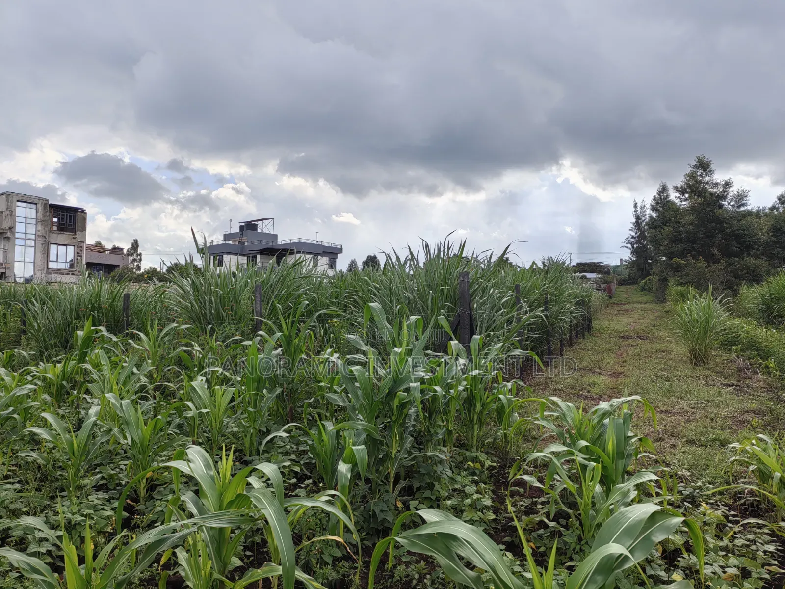 85 By100 Plot for Sale in Losegetti Kikuyu