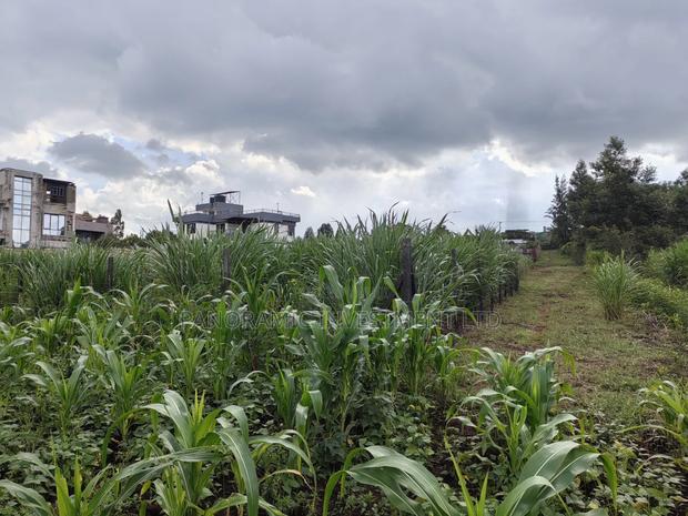 85 By100 Plot for Sale in Losegetti Kikuyu - thumbnail 3