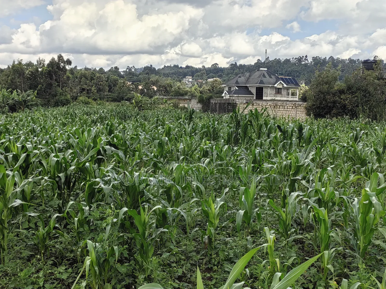 85 By100 Plot for Sale in Losegetti Kikuyu