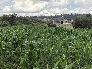 85 By100 Plot for Sale in Losegetti Kikuyu