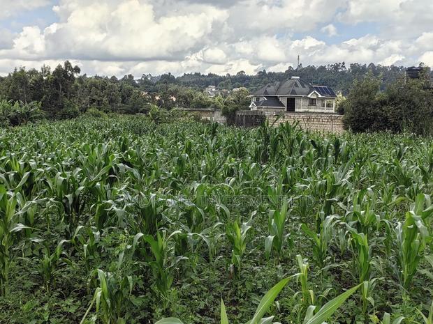 85 By100 Plot for Sale in Losegetti Kikuyu - thumbnail 5