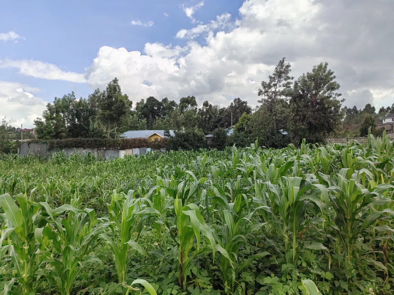 85 By100 Plot for Sale in Losegetti Kikuyu