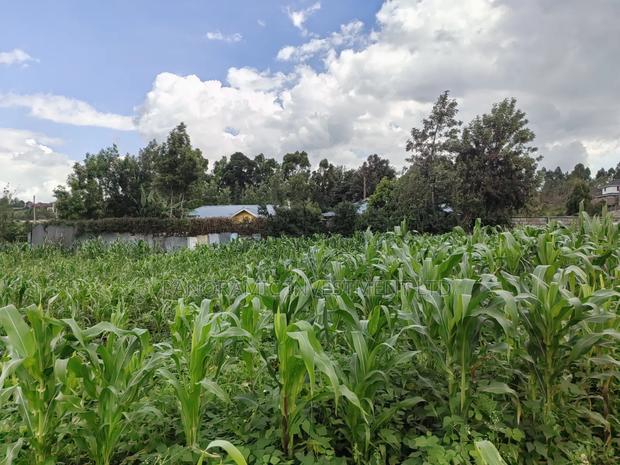 85 By100 Plot for Sale in Losegetti Kikuyu - thumbnail 6