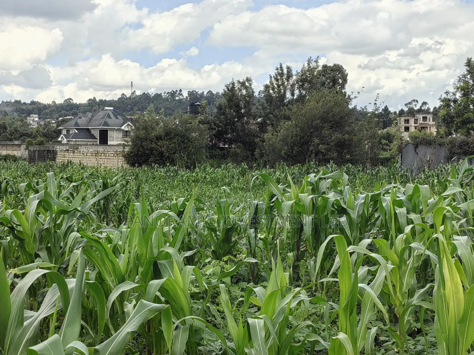 85 By100 Plot for Sale in Losegetti Kikuyu