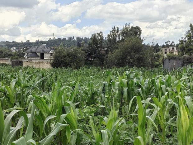 85 By100 Plot for Sale in Losegetti Kikuyu - thumbnail 7