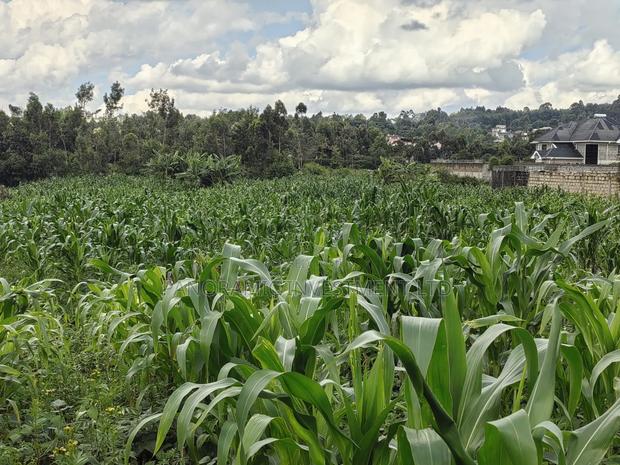 85 By100 Plot for Sale in Losegetti Kikuyu - thumbnail 8