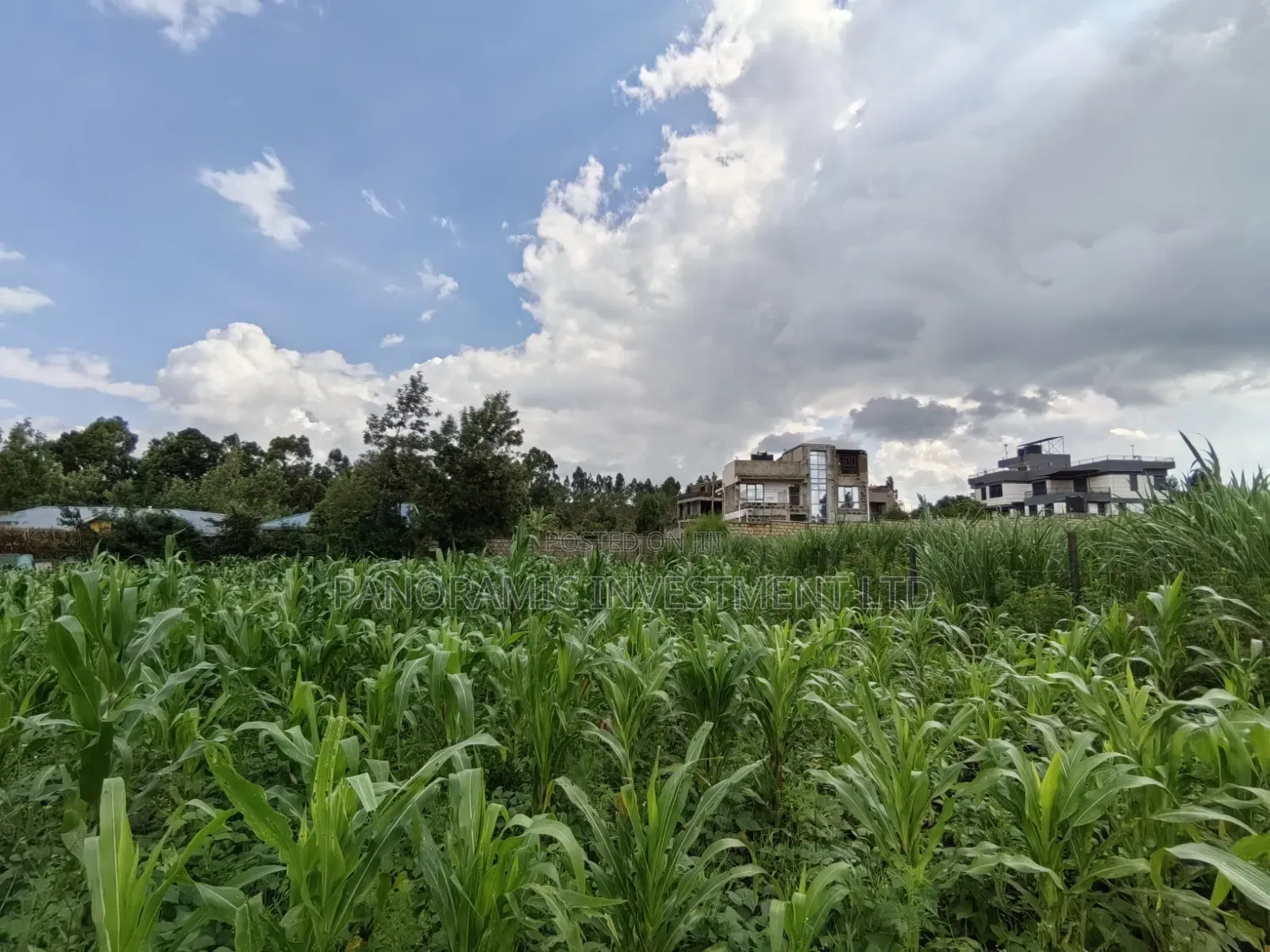 85 By100 Plot for Sale in Losegetti Kikuyu
