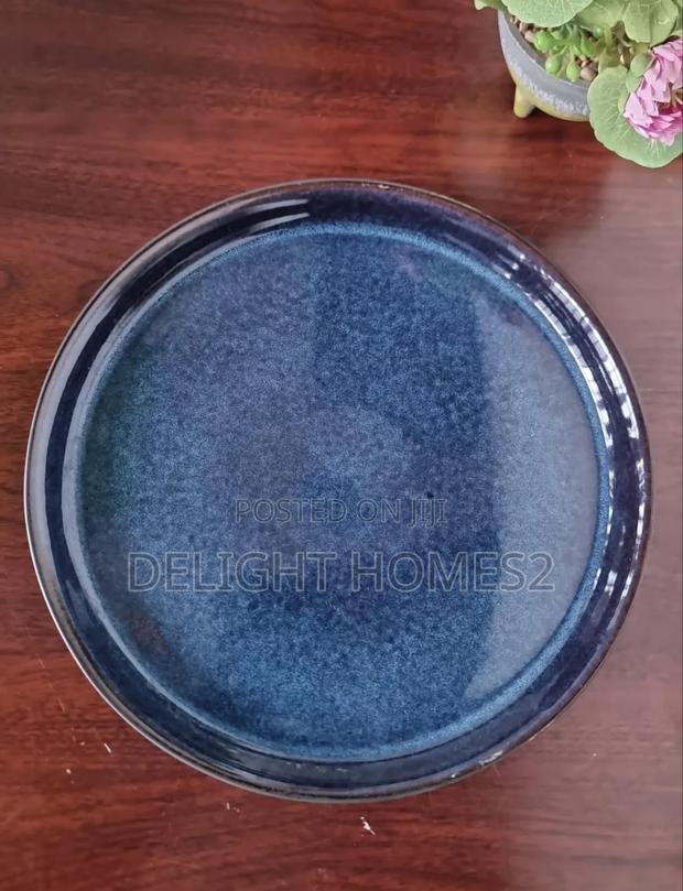 Ceramic Dinner Plates_pa