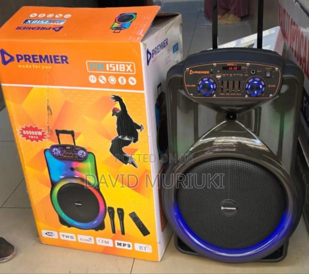 Premier 12inch Trolley Speaker.