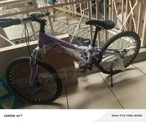 Sporty Size 24 Bicycle