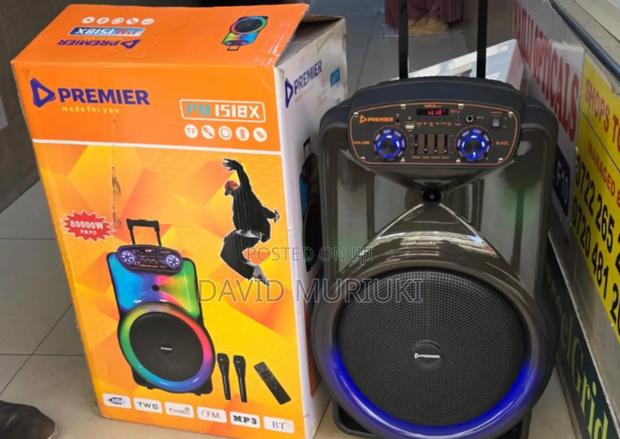 Premier 12inch Trolley Speakers.