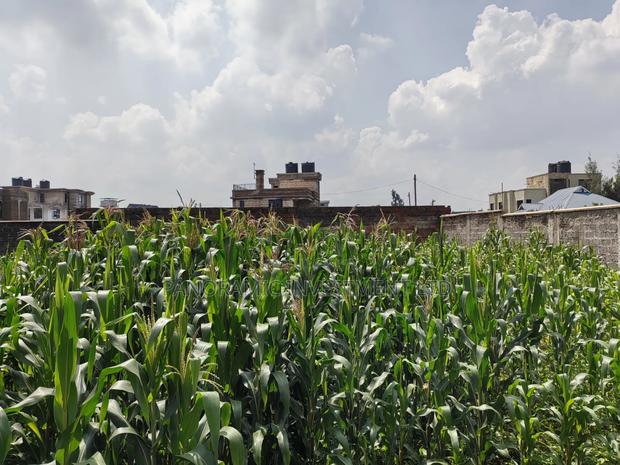 Quarter Acre for Sale in Gikambura Kikuyu Kiambu County. - thumbnail 7