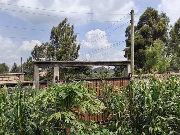Quarter Acre for Sale in Gikambura Kikuyu Kiambu County. - thumbnail 9