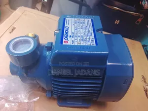 Brand New Affordable Quality/Pedroll 0.5 Booster Water Pump