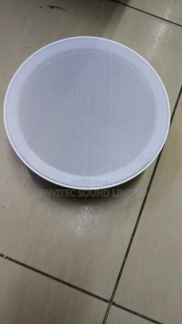 Ceiling Speaker