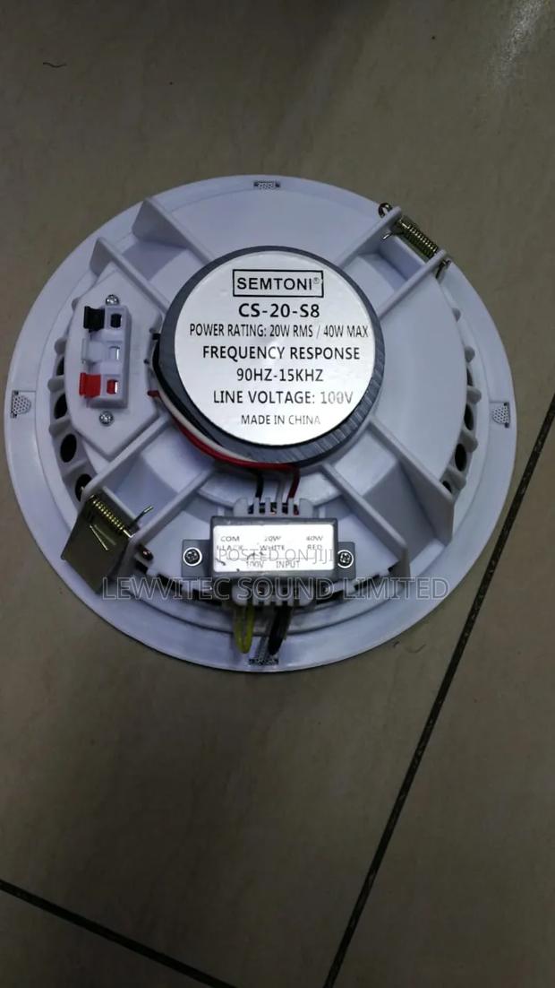 Ceiling Speaker - thumbnail 2