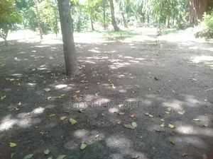 Prime 40x80 SQFT Plot/Shops at 15.7m on Sale at Ferry - Likoni Mombasa