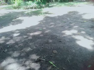 Prime 40x80 SQFT Plot/Shops at 15.7m on Sale at Ferry - Likoni Mombasa