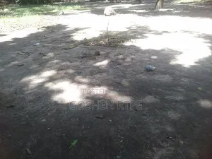 Prime 40x80 SQFT Plot/Shops at 15.7m on Sale at Ferry - Likoni Mombasa