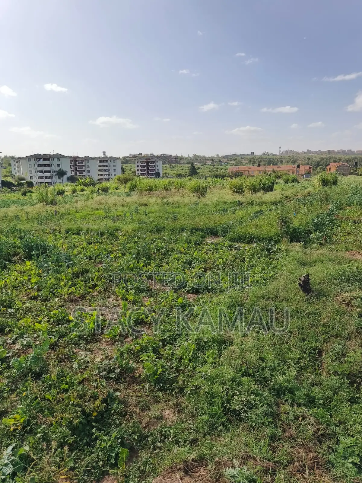 Prime Athi River 70 by 30 Plots