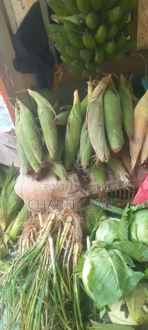 Fresh Grocery