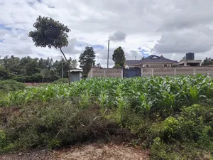 50 by 100 Plots for Sale in Lusegetti Kikuyu Kiambu County.