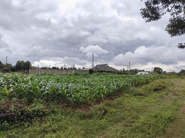 50 by 100 Plots for Sale in Lusegetti Kikuyu Kiambu County. - thumbnail 3