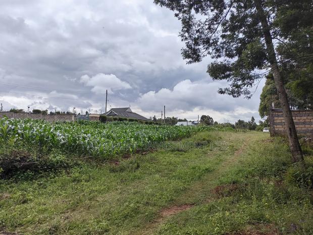 50 by 100 Plots for Sale in Lusegetti Kikuyu Kiambu County. - thumbnail 4