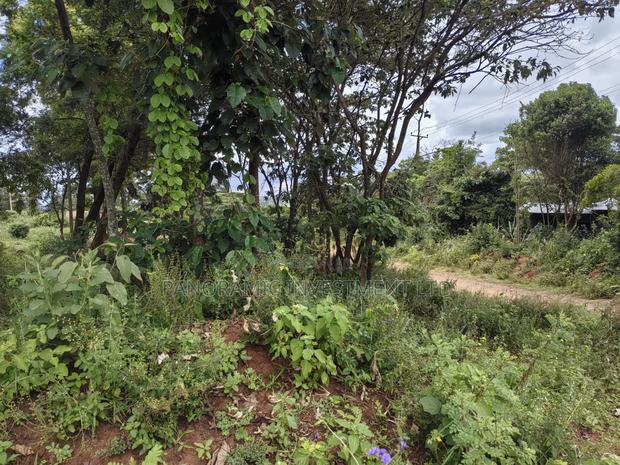 50 by 100 Plots for Sale in Lusegetti Kikuyu Kiambu County. - thumbnail 5