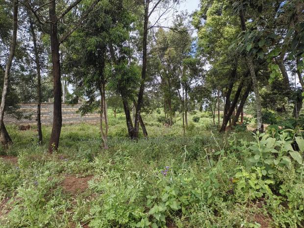 50 by 100 Plots for Sale in Lusegetti Kikuyu Kiambu County. - thumbnail 6