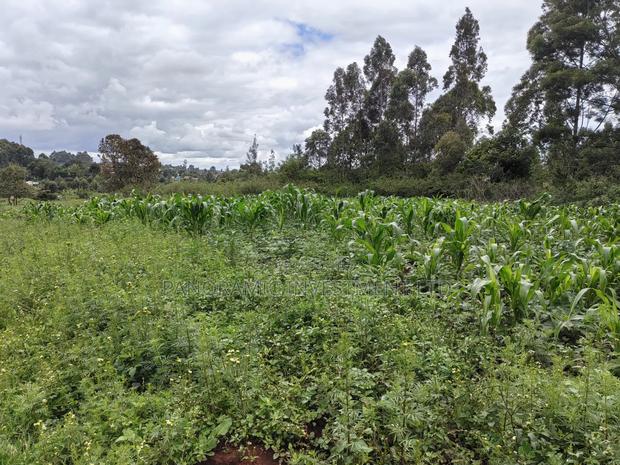 50 by 100 Plots for Sale in Lusegetti Kikuyu Kiambu County. - thumbnail 7