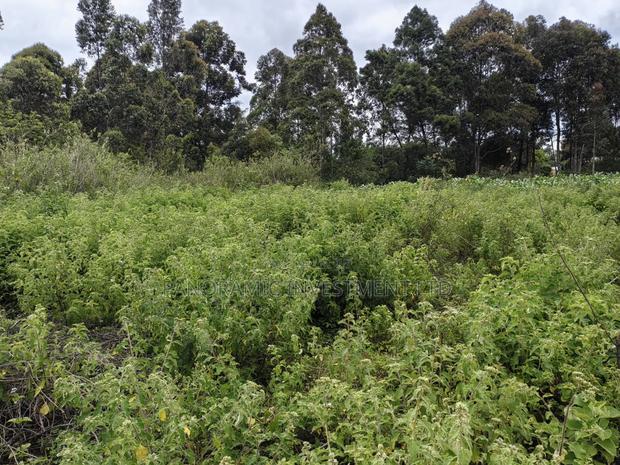 50 by 100 Plots for Sale in Lusegetti Kikuyu Kiambu County. - thumbnail 8