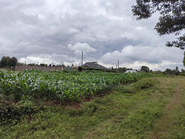 50 by 100 Plots for Sale in Lusegetti Kikuyu Kiambu County. - thumbnail 9