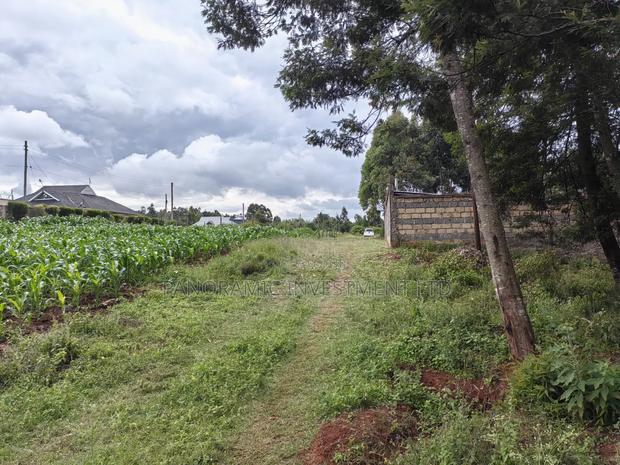50 by 100 Plots for Sale in Lusegetti Kikuyu Kiambu County. - thumbnail 10